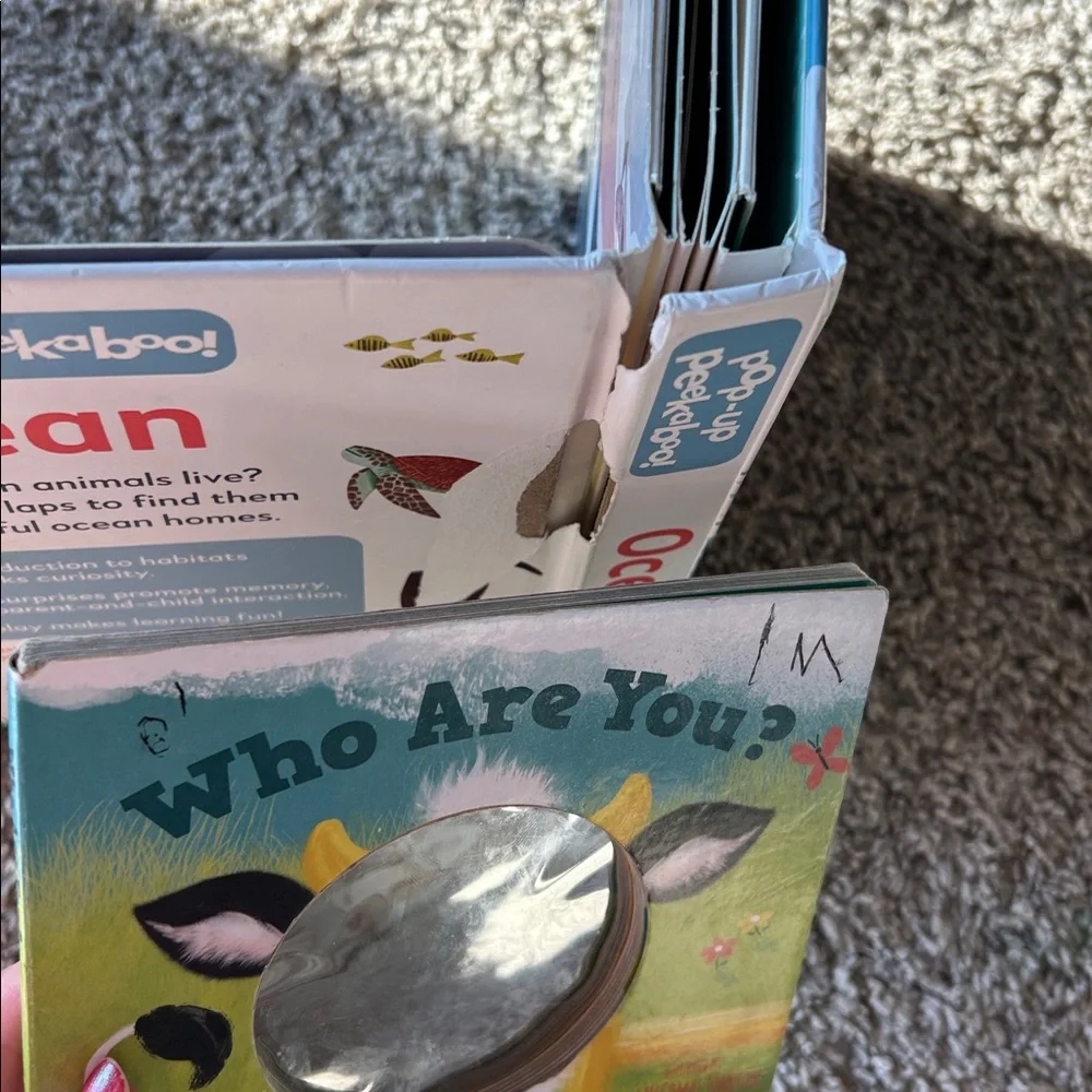 Interactive Board Book Set - Picture 5 of 5
